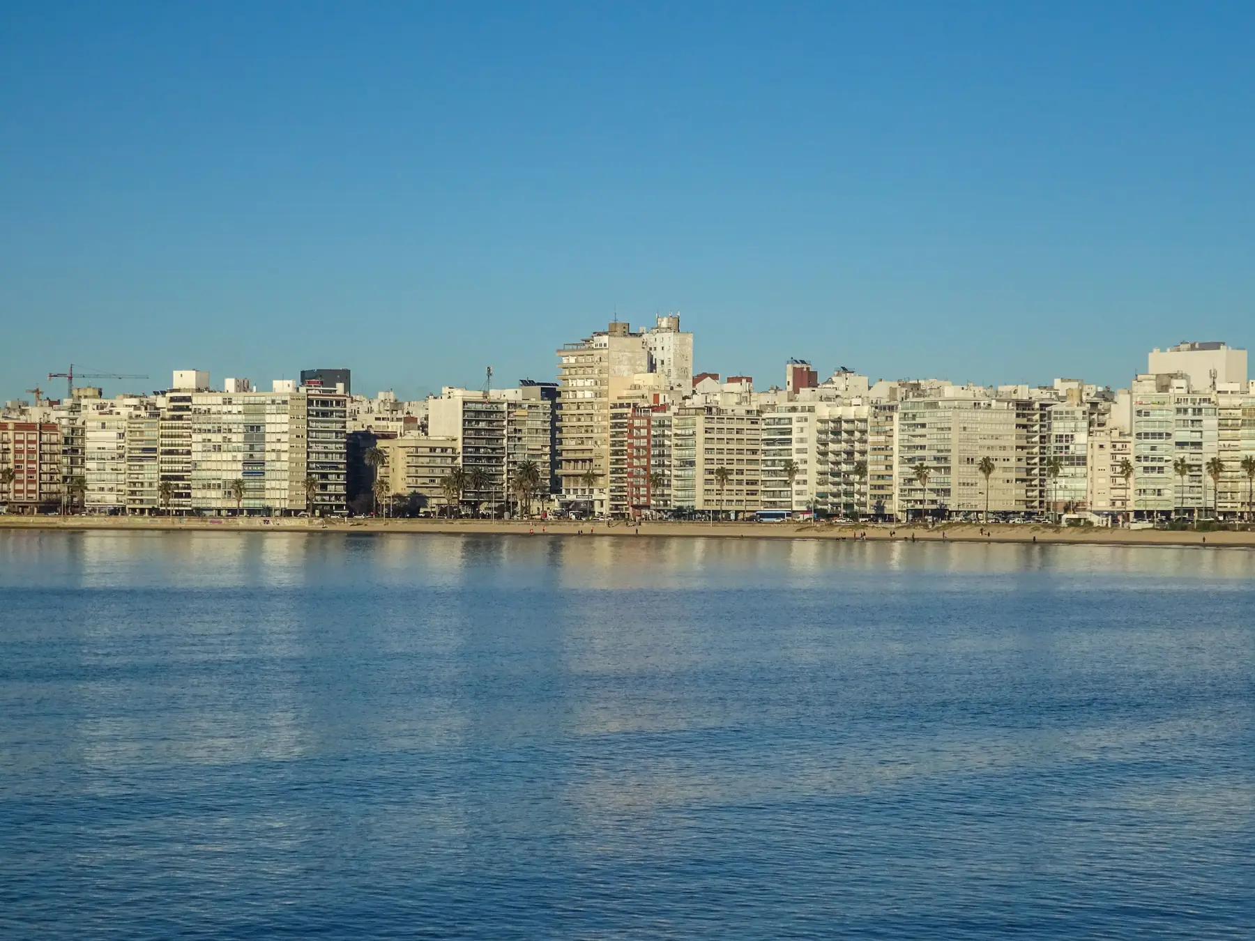 El skyline de Pocitos visto desde el agua