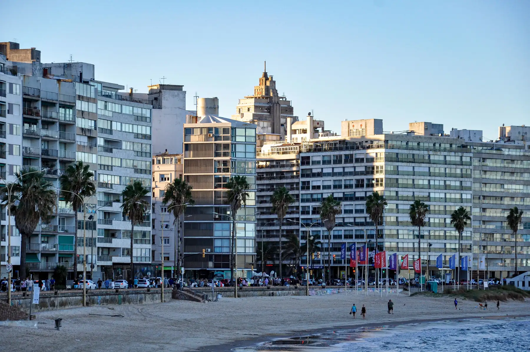 La playa de Pocitos con sus palmeras y edificios